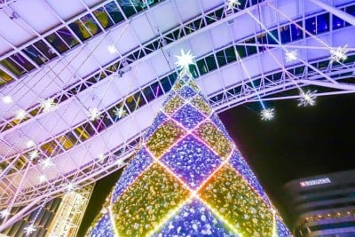 博多駅でイルミネーション 光の街 博多 とクリスマスマーケット Eltha エルザ