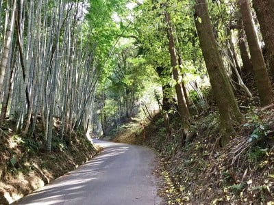 西郷どん ゆかり 西南戦争の激戦地 田原坂を歩く Oricon News