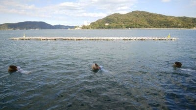 ミキモト真珠島 水筒 コレクション