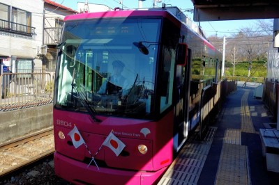 都電の御朱印が可愛い！「都電神社めぐり」のパワースポット3社 