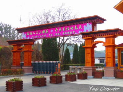中国旅順「203高地」で体感する日露戦争の歴史と景観 | ORICON NEWS 中国旅順「203高地」で体感する日露戦争の歴史と景観 | ORICON NEWS