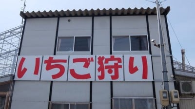 心ときめく 秋田県羽後町 こまち野 で幸せのいちご狩り Oricon News