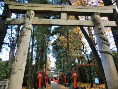 鳥居に龍が巻き付く!?パワーが溢れる東京「馬橋稲荷神社」 | ORICON NEWS