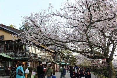 古都に咲き誇る桜 金沢城 兼六園観桜期のライトアップ 散策 Eltha エルザ