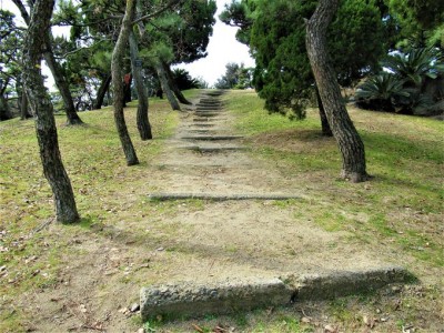 登山証明書つき 標高6 97mの大阪府堺市 蘇鉄山 でなんちゃって山登り Oricon News