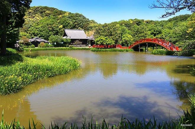 広重の描いた風景を辿る！横浜・金沢八景～金沢文庫お勧め観光コース