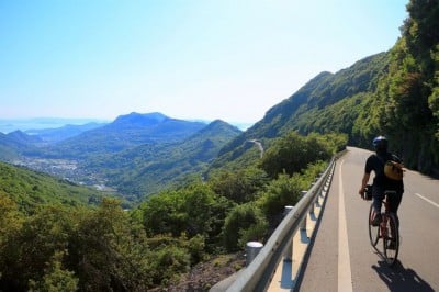 お猿たちの癒しも 大渓谷広がる小豆島 仙多公峰 が絶景すぎる Oricon News