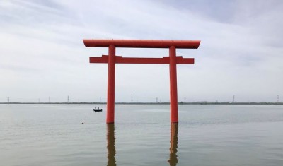 日本の神々:神社と聖地 全13巻揃(谷川健一 編) / 古本、中古本