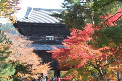 南禅寺塔頭「金地院」で大人の京都を楽しむ | ORICON NEWS