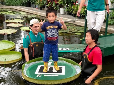 日本最大のバオバブも 広島市植物公園 で巨大植物めぐり Oricon News