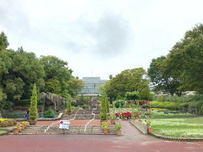 日本最大のバオバブも 広島市植物公園 で巨大植物めぐり Oricon News