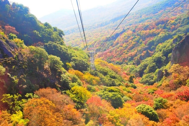 ベストシーズンは秋 写真映え必至の 小豆島 は紅葉の季節がおすすめ Eltha エルザ