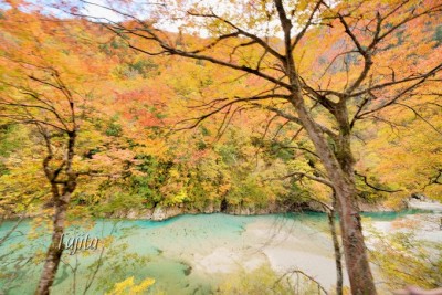 黒部峡谷の紅葉を一望 富山 黒部峡谷トロッコ電車で紅葉狩り Oricon News