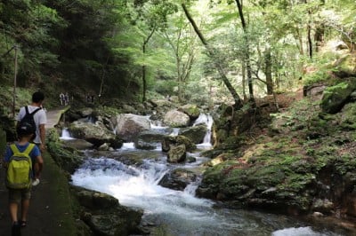 癒しの森林浴!三重「赤目四十八滝」所要時間別ハイキングコース 癒しの森林浴!三重「赤目四十八滝」所要時間別ハイキングコース
