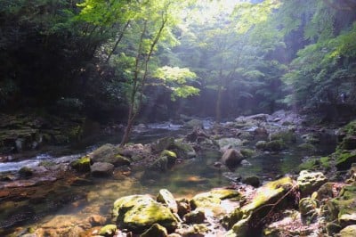 癒しの森林浴!三重「赤目四十八滝」所要時間別ハイキングコース 癒しの森林浴!三重「赤目四十八滝」所要時間別ハイキングコース