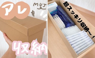 軽い 安い エコ 無印良品 生理用品収納にぴったりな 推しダン は Eltha エルザ