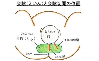 出産前に気になる 会陰切開 のこと どこをいつ切開するの 助産師が解説 Eltha エルザ