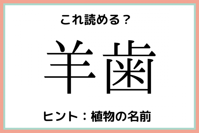 羊歯 ようし 読めそうで読めない 難読漢字 4選 Eltha エルザ