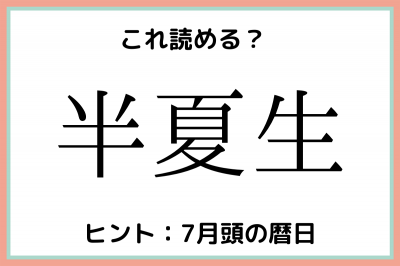 半夏生 はんなつせい 読めたらスゴイ 難読漢字 4選 Eltha エルザ