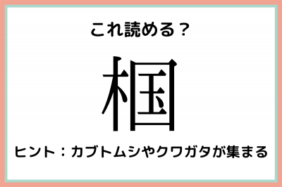 椢 きくに 読めたらスゴイ 一文字 難読漢字 4選 Eltha エルザ