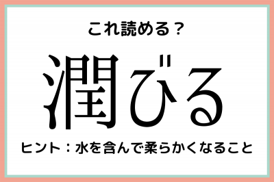 確証 意味 類語