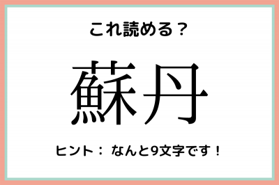 蘇丹 ってどこの国 読めたらスゴイ 難読漢字 国名編 Eltha エルザ