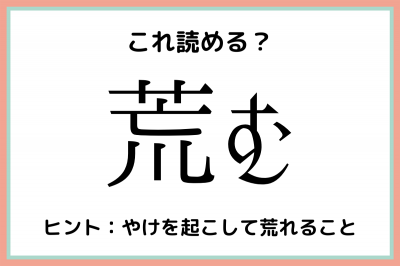 荒む