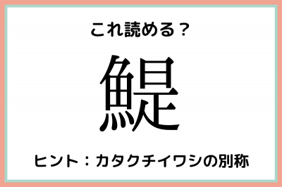 って何て読むっけ 読めたらスゴイ 難読漢字 魚編 Eltha エルザ