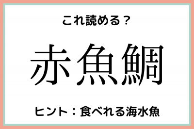赤魚鯛 あかさかなたい 読めたらスゴイ 魚の難読漢字 4選 Eltha エルザ