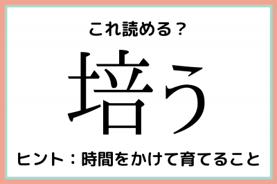 培う ばいう 読めたらスゴイ 難読漢字 4選 Eltha エルザ