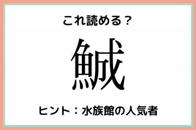 って何て読むっけ 大人なら知っておきたい 難読漢字 生き物編 Eltha エルザ