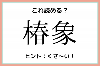 椿象 つばきぞう じゃないの 読めたらスゴイ 難読漢字 4選 Eltha エルザ