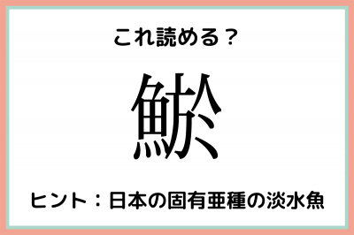 鯲 って何て読むっけ 大人なら知っておきたい魚の 難読漢字 Eltha エルザ