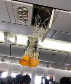 �u�Β��A���ʂ��Ɓv�u�斱���͗�ÁvJAL�ً}�����A�k�����q