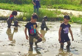 ��񂱂�s�����A�q�ǂ������D�� �X��p�̓c���ŏ��̂��Ղ�