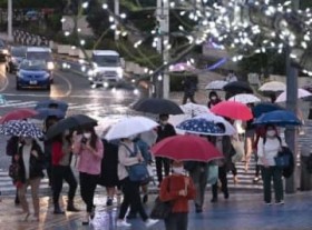 �t���̊X�ɎP�̉ԍ炭 ����̓V�C�A������1�T�Ԃ��܂��J