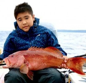 ���j�����ŃA�J�W��4.5�L��