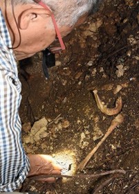 �����s�ɕ~�̎��R������⍜2�� �����̋]���҂� DNA�Ӓ�Őg������̉\��