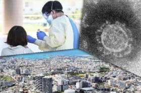 ���������ɕ����l�����ʏ����p�ŃN���X�^�[������ �a����L����80%�� ����ŐV����51�l�����y12��13�����z