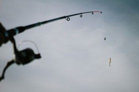 �c�g���̊R�ɒނ肴���c���c�ČR���j�����s���s��