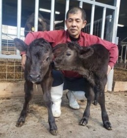 ���Ƀ��H?�ːi ���[���E����ܔ_�� 2���a���ŉN�N�J��