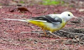 �~��?���������L�Z�L���C �F�f������������ ���n�_���߂�