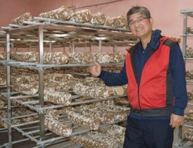 �V�C�^�P�Ō×������C��! ����t�@�[���̎R�邳��A��X���ō͔|���o�ׁu�����͒n��ٗp�ɍv���v