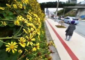 ���Ђ��� ����s�Ńc���u�L����