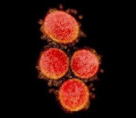 �����E���AQAB�A�i�E���T�[�A��������Ȃǂ��R���i�Ɋ���