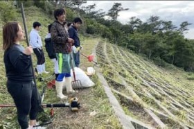 ����V���l�́u�������v���N�̈ꕶ����? �~�̕������A�����_����