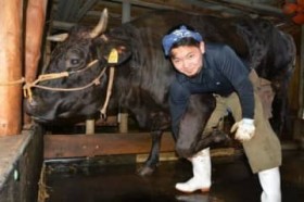 ���̌��N��S�����E�u����t�v��ڎw���V���l�̒��� �u���̒܂��x�������v 