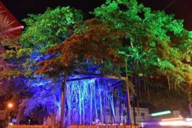 �K�W���}�������C�g�A�b�v!����s���ɐƗ΂̌� ��Î҂ւ̊��ӂƃR���i�΍��O��Ăъ|��