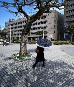 ��ɓ��P���f���� ���ꌧ���A�k�哌�ł�20�x��