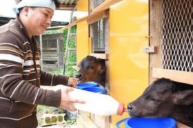 �l�q�̎q���A���͑o�q�A����1���A�����čȂ��c���߂ł����b�V���{�Y�_�Ɓu�΂��Ă�����1�N�Ɂv